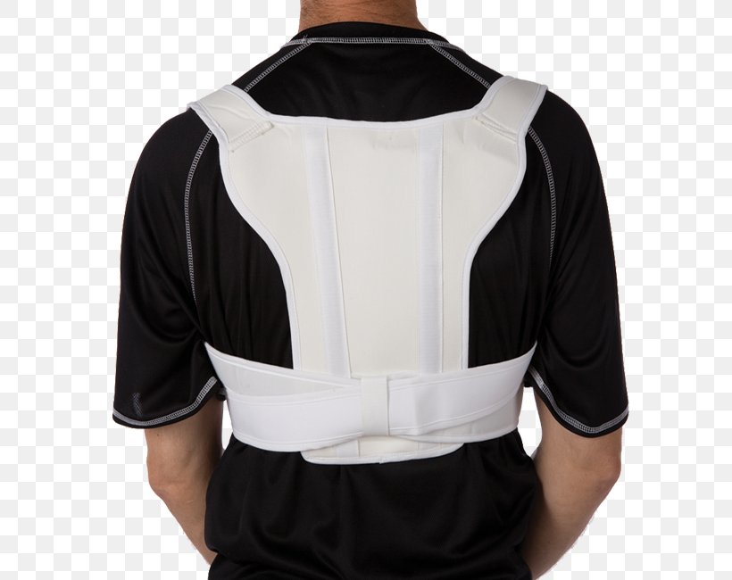 Shoulder Strap Braces Clavicle Human Back, PNG, 650x650px, Shoulder, Abdomen, Arm, Back Pain, Belt Download Free