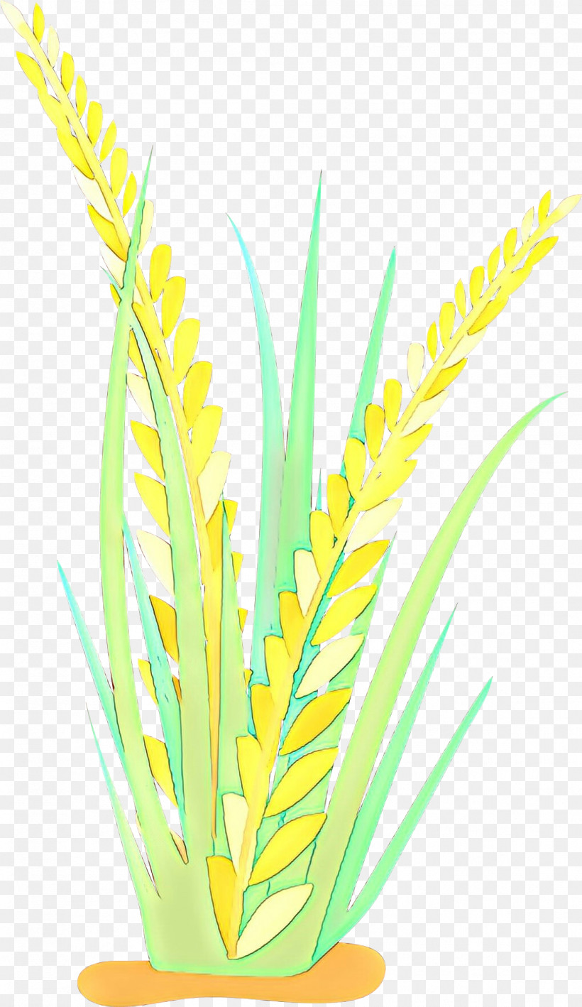 Yellow Grass Plant Grass Family Leaf, PNG, 1146x1982px, Yellow, Grass, Grass Family, Leaf, Plant Download Free
