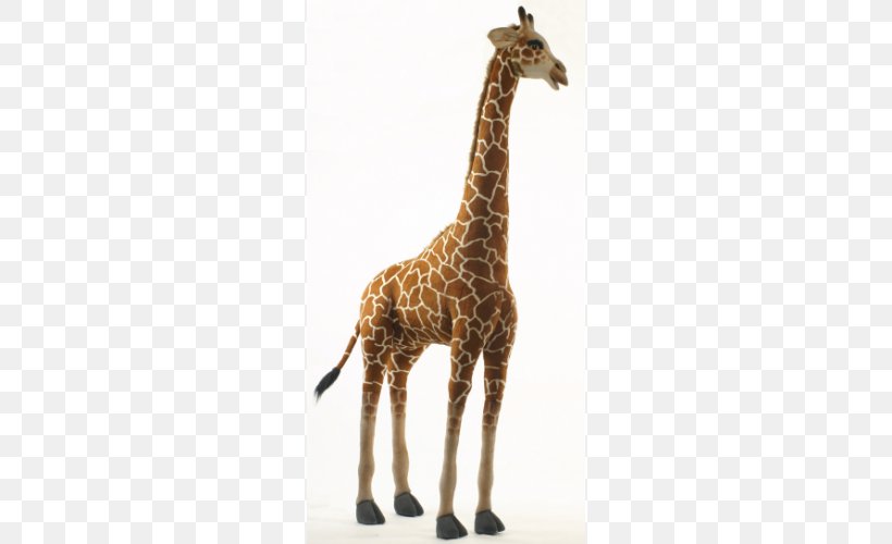 Giraffe Neck Stuffed Animals & Cuddly Toys Wildlife, PNG, 500x500px, Giraffe, Animal, Centimeter, Fauna, Giraffidae Download Free