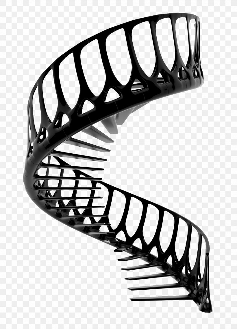Staircases Kitchen Utensil Vertebral Column Design Spinal Cord, PNG, 1442x2000px, Staircases, Architecture, Black And White, Cleaning, Guard Rail Download Free