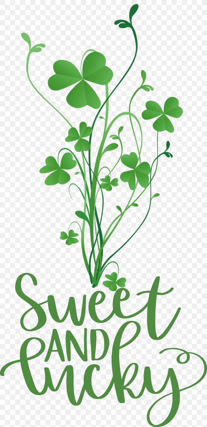 Sweet And Lucky St Patricks Day, PNG, 1456x2999px, St Patricks Day, Clover, Floral Design, Grasses, Leaf Download Free