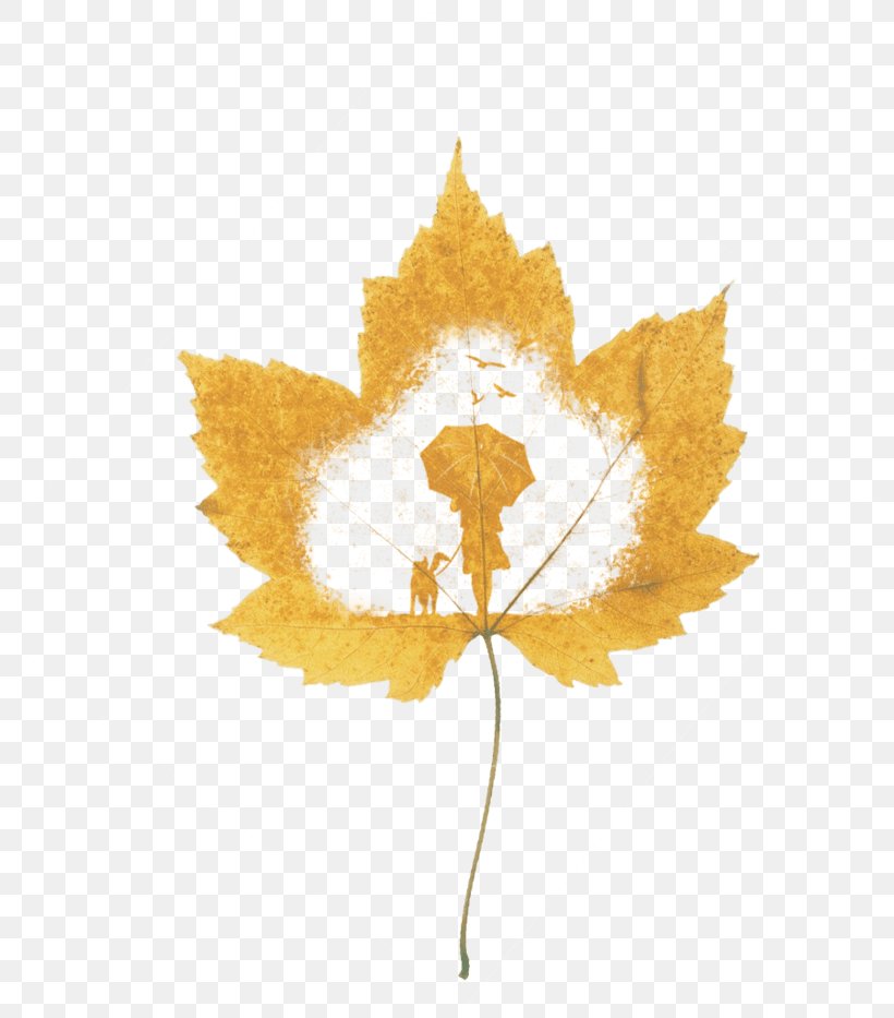 Vector Graphics Television Image Download, PNG, 804x933px, Television, Drawing, Flowering Plant, Leaf, Maple Leaf Download Free