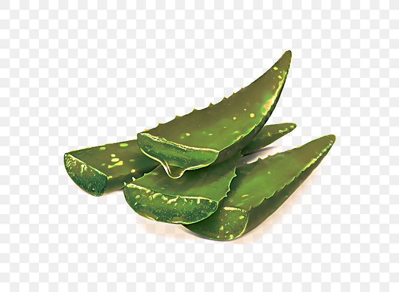 Leaf Plant Aloe Snow Peas Food, PNG, 600x600px, Leaf, Aloe, Food, Plant, Snow Peas Download Free