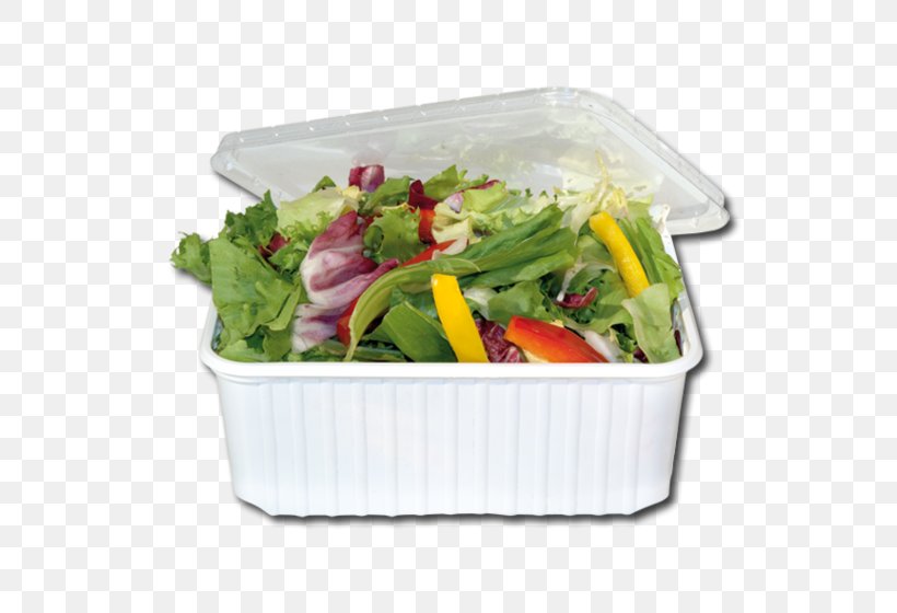 Leaf Vegetable Vegetarian Cuisine Recipe Plastic Salad, PNG, 560x560px, Leaf Vegetable, Dish, Food, Market, Packaging And Labeling Download Free