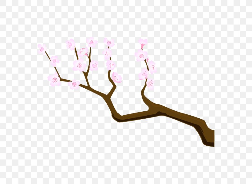 Meaning Tang Dynasty Cherry Blossom Etymology Idiom, PNG, 600x600px, Meaning, Blossom, Branch, Cherry Blossom, Diaporama Download Free