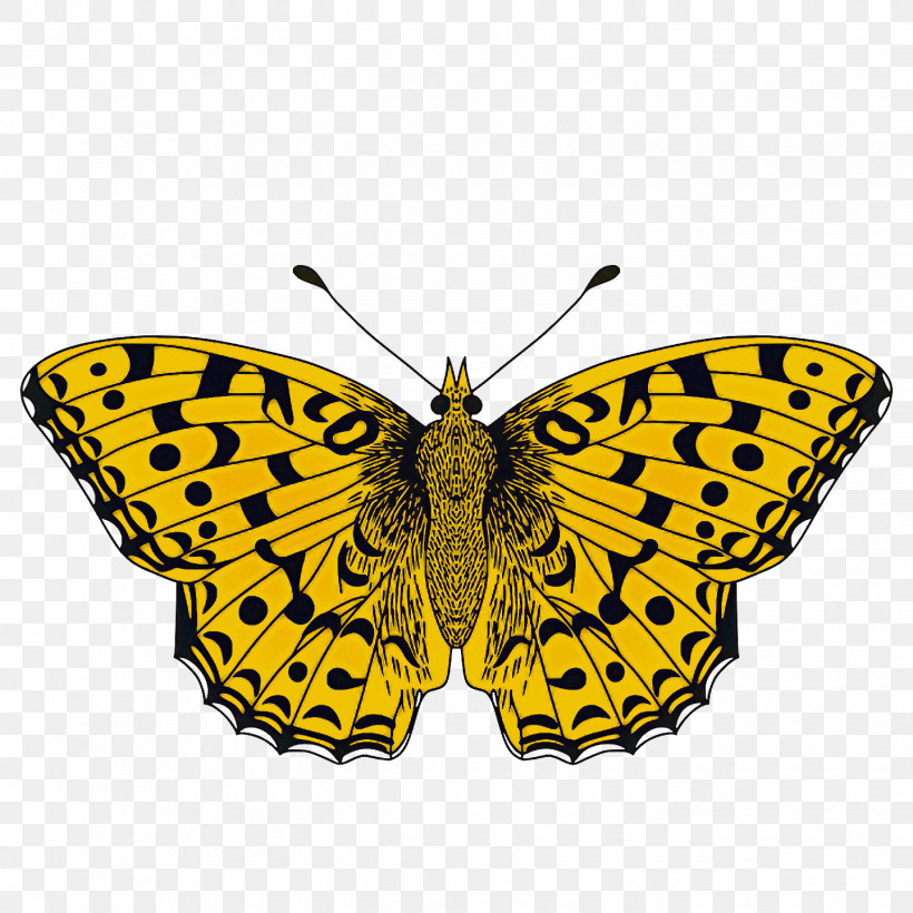 Monarch Butterfly, PNG, 1440x1440px, Monarch Butterfly, Borboleta, Brushfooted Butterflies, Butterflies, Caterpillar Download Free