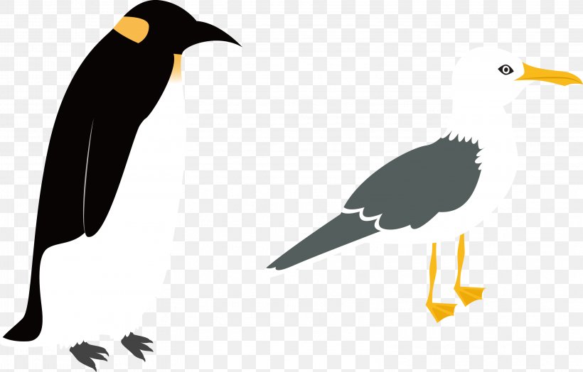 Penguin Bird, PNG, 3154x2019px, Penguin, Beak, Bird, Emperor Penguin, Fauna Download Free