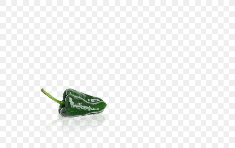 Poblano Pasilla Seed Chili Pepper, PNG, 700x518px, Poblano, Capsicum Annuum, Chili Pepper, Green, Heirloom Plant Download Free