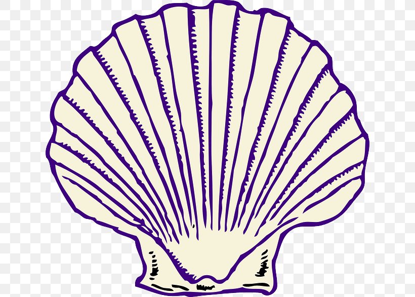 Clam Seashell Clip Art, PNG, 640x586px, Clam, Area, Artwork, Color, Gastropod Shell Download Free