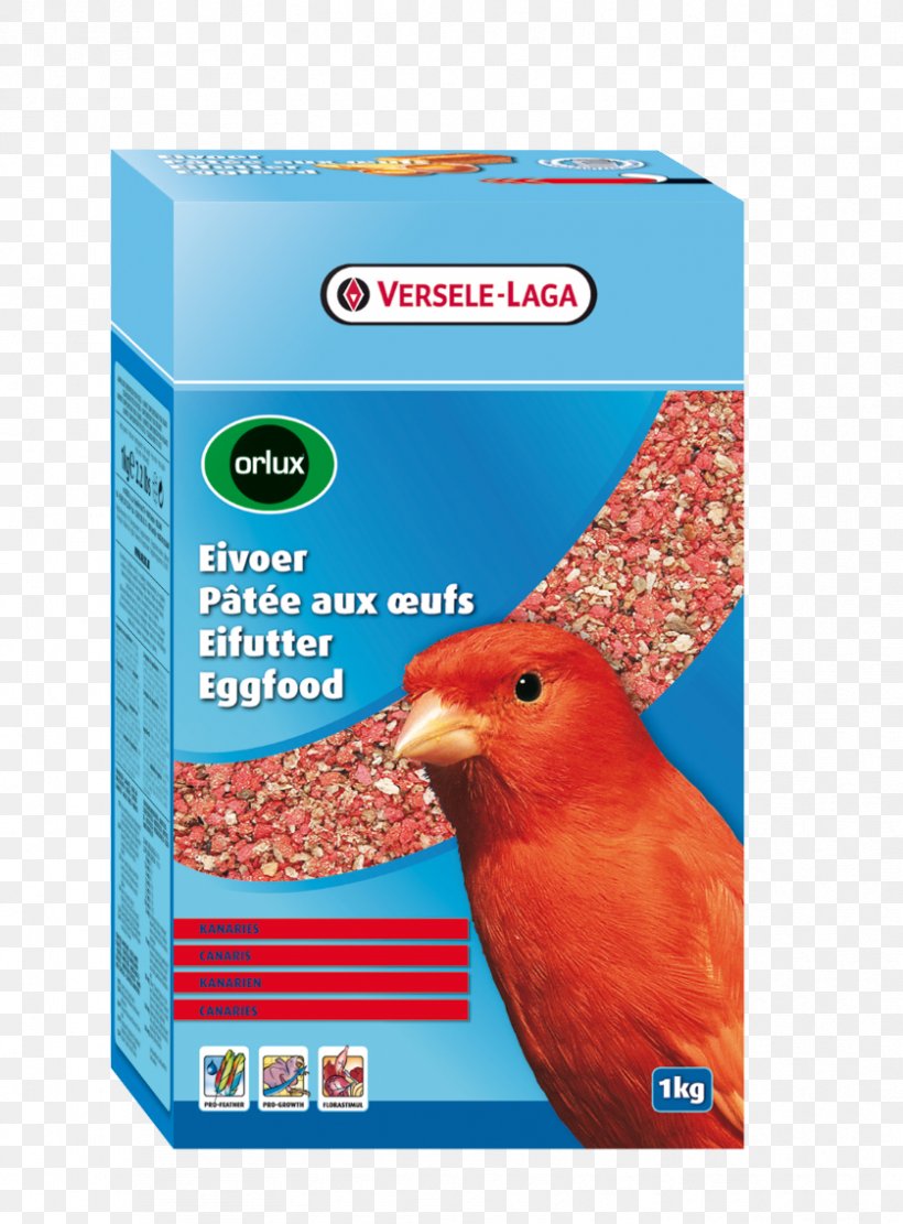 Egg Food Bird Red Factor Canary Parrot, PNG, 838x1136px, Egg, Atlantic Canary, Beak, Bird, Bird Food Download Free