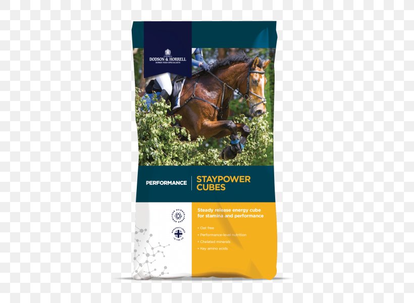 Horse Equine Nutrition Pony Fodder Show Jumping, PNG, 431x600px, Horse, Advertising, Alfalfa, Brand, Brochure Download Free