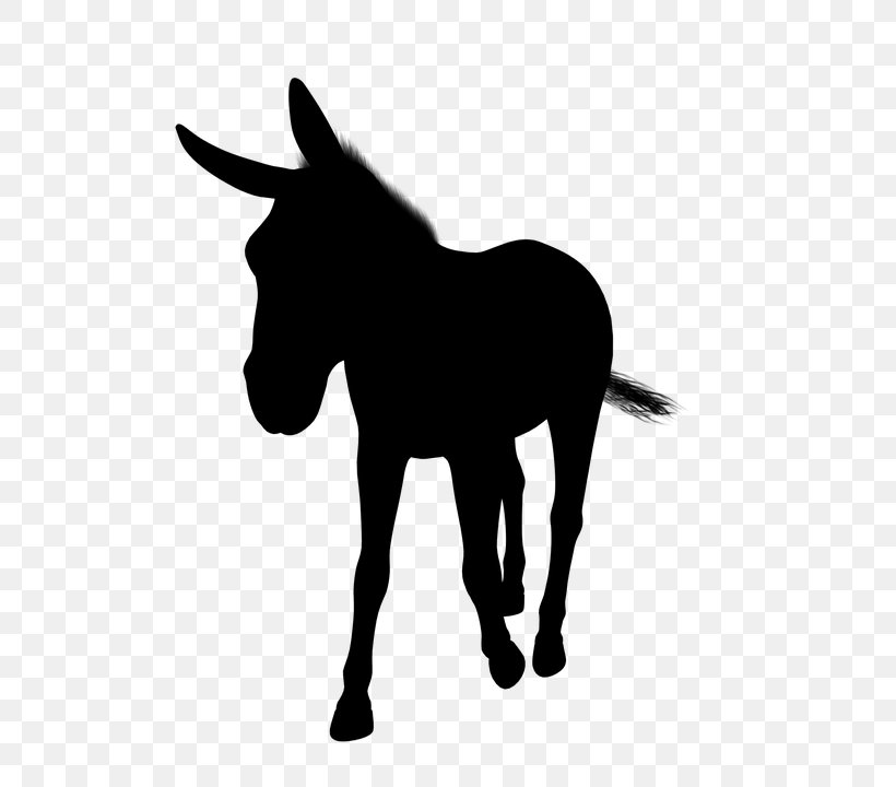 Mule Foal Mustang Stallion Donkey, PNG, 720x720px, Mule, Animal Figure, Black White M, Blackandwhite, Bridle Download Free