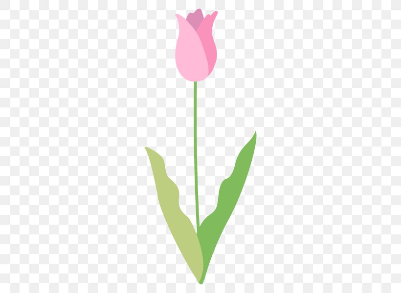 Tulip Clip Art Plant Stem Leaf Desktop Wallpaper, PNG, 600x600px, Tulip, Computer, Flora, Flower, Flowering Plant Download Free