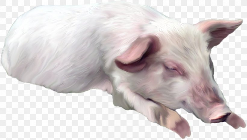 Domestic Pig Horse Dog Clip Art, PNG, 1200x682px, Domestic Pig, Animal, Dog, Domestic Animal, Farm Download Free