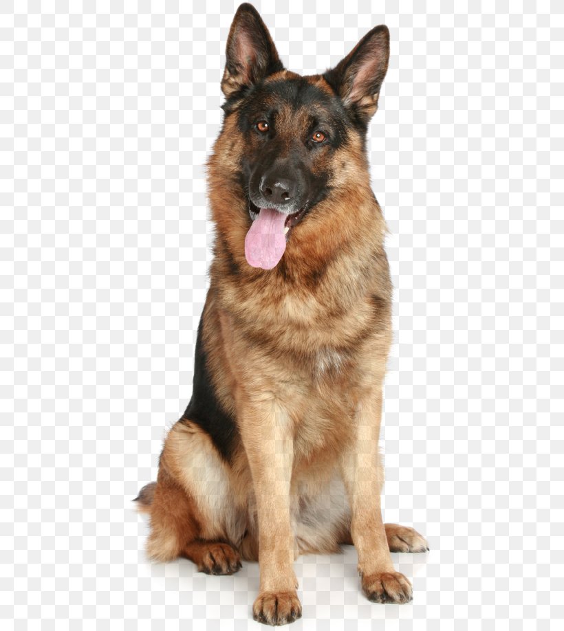 Puppy German Shepherd Desktop Wallpaper Clip Art, PNG, 450x918px, Puppy,  Carnivoran, Display Resolution, Dog, Dog Breed