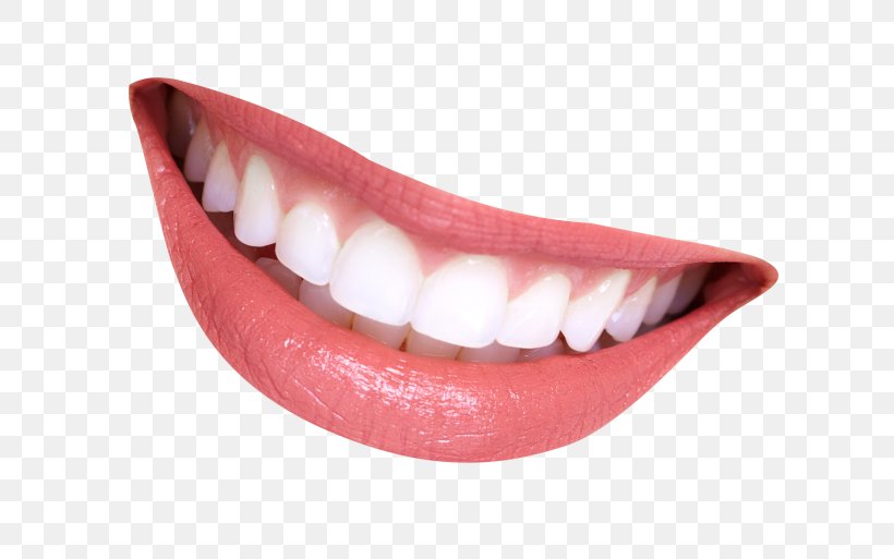 Smile Human Mouth Clip Art, PNG, 700x513px, Smile, Copying, Human Mouth, Human Tooth, Information Download Free