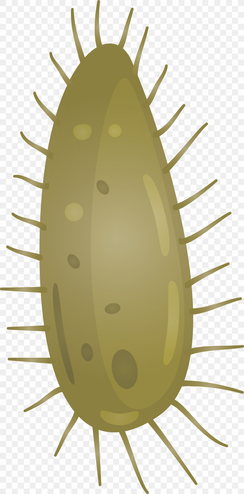 Virus, PNG, 1483x3000px, Virus, Oval Download Free