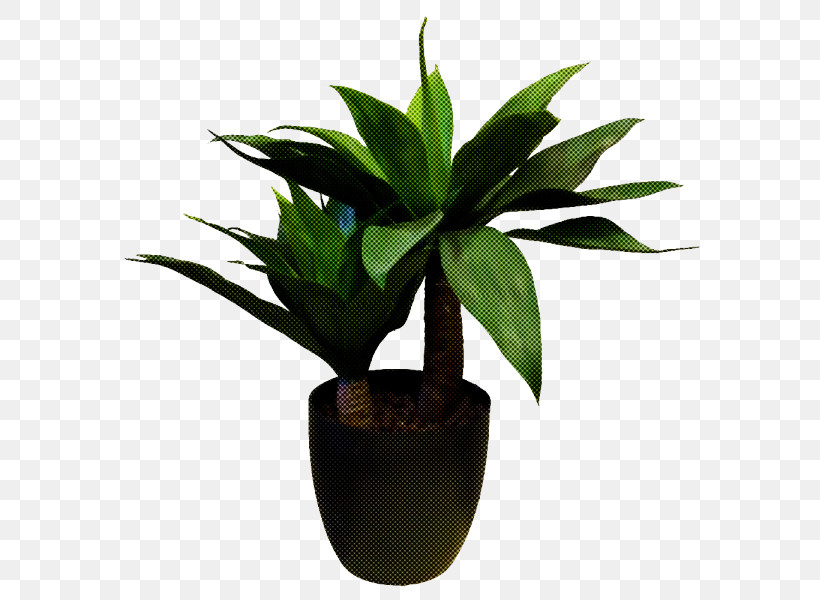 Artificial Flower, PNG, 800x600px, Flowerpot, Artificial Flower, Artificial Tree, Dracaena, Green Download Free