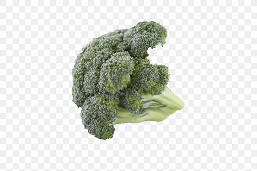 Cream Of Broccoli Soup Vegetarian Cuisine Cauliflower Cruciferous Vegetables, PNG, 3600x2400px, Broccoli, Broccoli Slaw, Cabbage, Cauliflower, Chinese Broccoli Download Free