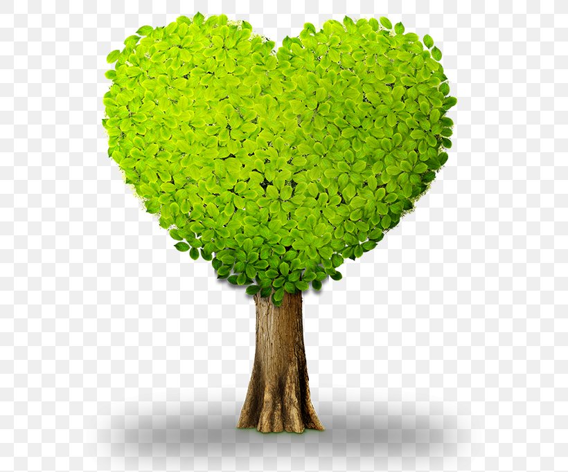 Heart Green Tree Information, PNG, 600x682px, Heart, Color, Designer, Environmental Protection, Flowerpot Download Free