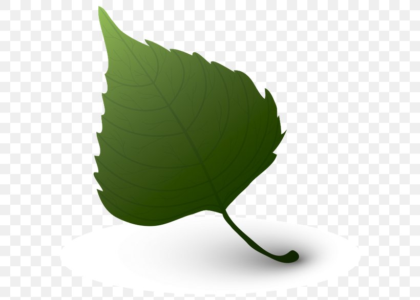 Leaf Green Color, PNG, 600x586px, Leaf, Blue, Color, Element, Green Download Free