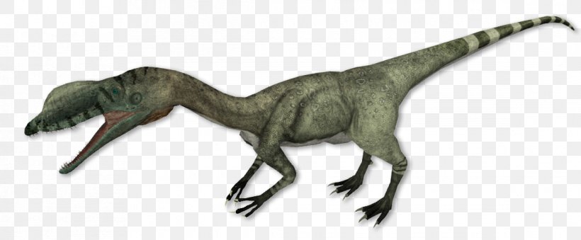 Liliensternus Procompsognathus Cryolophosaurus Theropods Velociraptor, PNG, 1165x483px, Liliensternus, Animal, Animal Figure, Coelophysoidea, Cryolophosaurus Download Free