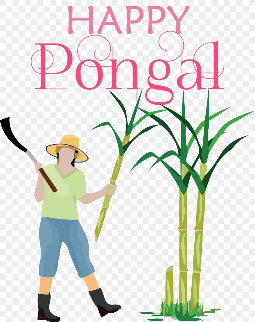 Pongal Happy Pongal, PNG, 2373x3000px, Pongal, Happy Pongal, Royaltyfree, Silhouette, Sugar Download Free