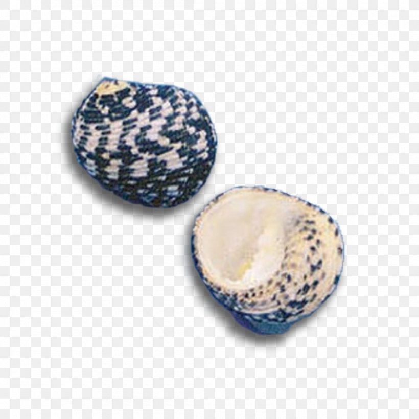 Seashell Pecten Pectinidae Cerithium Craft, PNG, 1100x1100px, Seashell, Cobalt, Cobalt Blue, Craft, Dishware Download Free