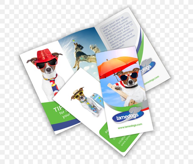 Advertising Brochure Printing Folded Leaflet, PNG, 700x700px, Advertising, Brand, Brochure, Business, Flyer Download Free