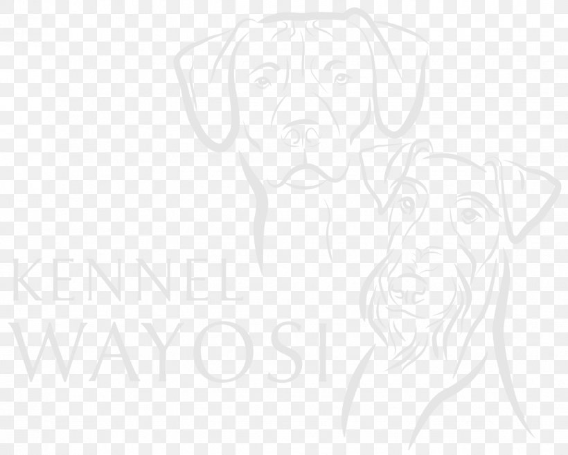 Dog Breed Puppy Line Art Sketch, PNG, 1531x1228px, Dog Breed, Artwork, Black, Black And White, Breed Download Free