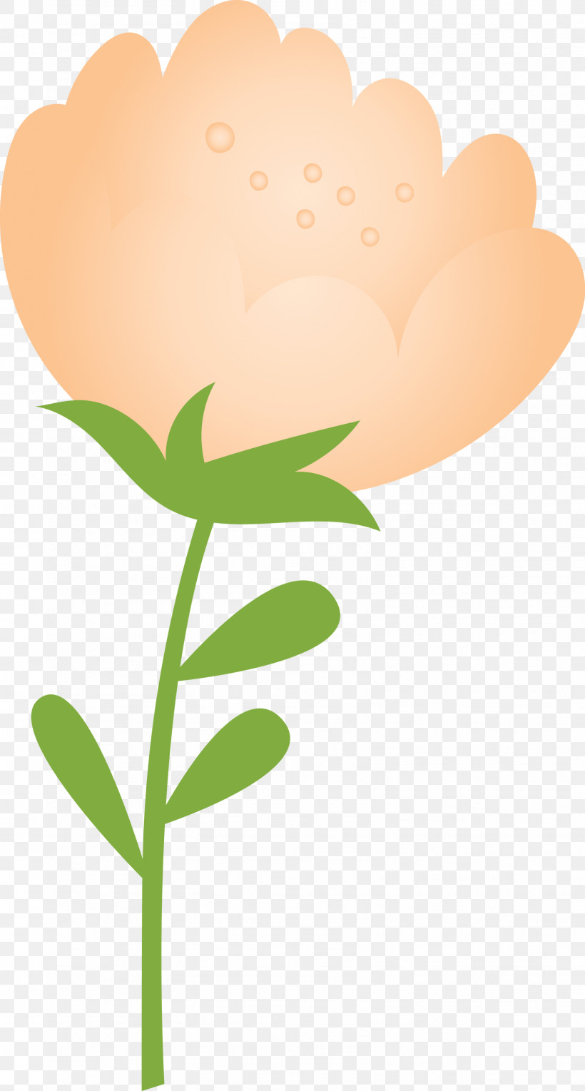 Flower Leaf Plant Pedicel Petal, PNG, 1608x2999px, Spring Flower, Cartoon, Flower, Leaf, Pedicel Download Free