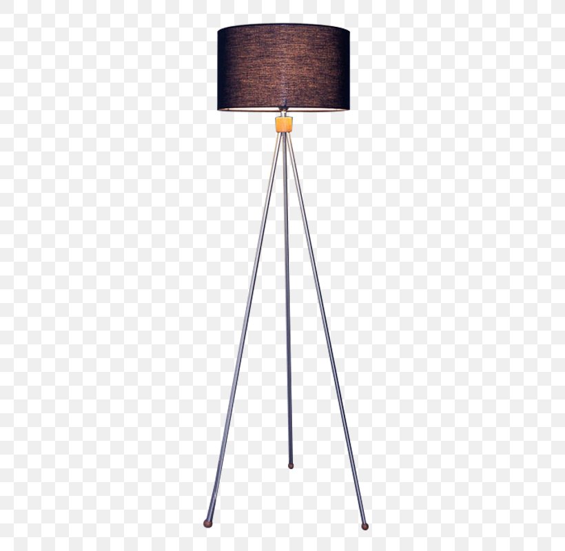 Light Bulb Cartoon, PNG, 800x800px, Lamp, Camera Accessory, Ceiling, Ceiling Fixture, Floor Download Free