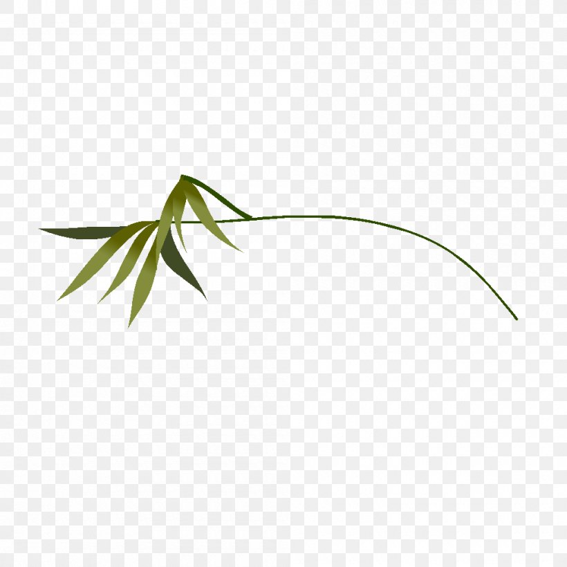 Plant Drawing Grasses, PNG, 1000x1000px, 2016, Plant, Drawing, Educational Game, English Download Free