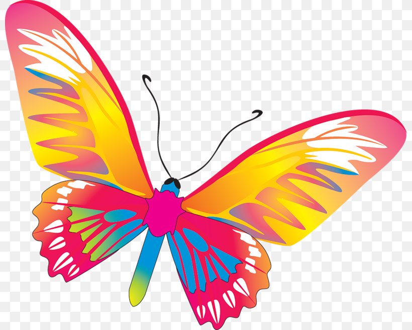 Butterfly Drawing Clip Art, PNG, 800x656px, Butterfly, Brush Footed Butterfly, Butterflies And Moths, Drawing, Insect Download Free