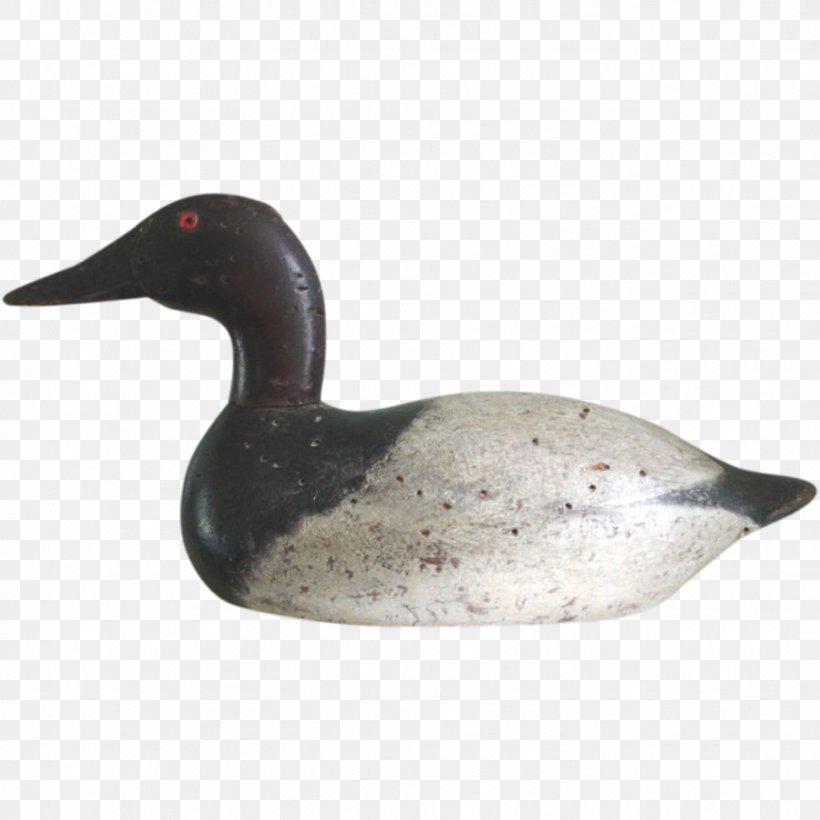 Duck Decoy Mallard Goose, PNG, 971x971px, Duck, Antique, Beak, Bird, Canvasback Download Free