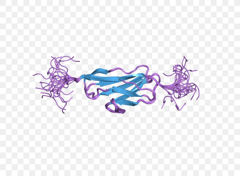 Obscurin Protein Titin Sarcomere Gene, PNG, 800x600px, Obscurin, Art, Cell Signaling, Fictional Character, Gene Download Free