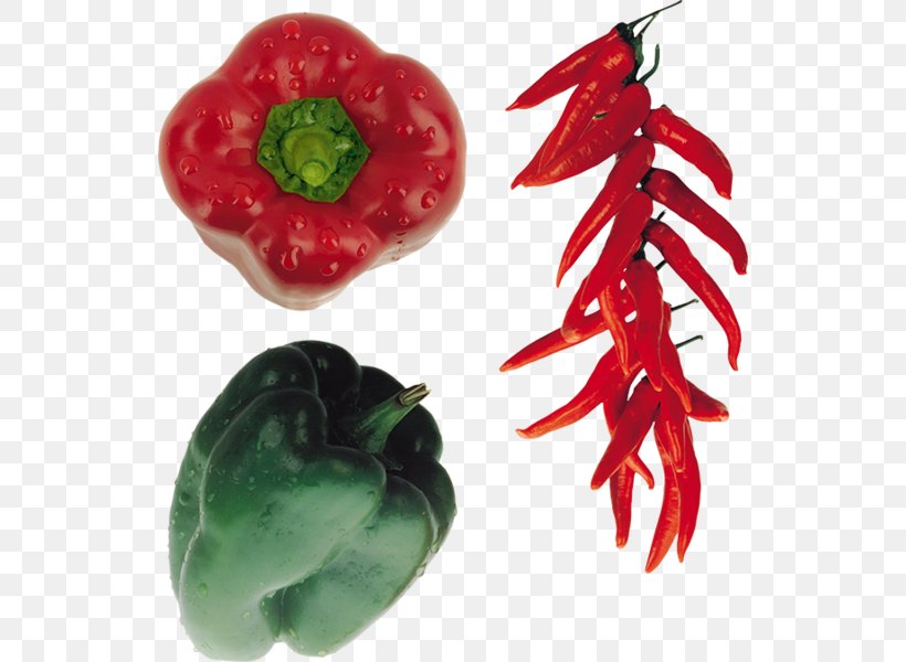 Tabasco Pepper Bird's Eye Chili Cayenne Pepper Malagueta Pepper Bell Pepper, PNG, 534x600px, Tabasco Pepper, Bell Pepper, Bell Peppers And Chili Peppers, Biber, Capsicum Annuum Download Free