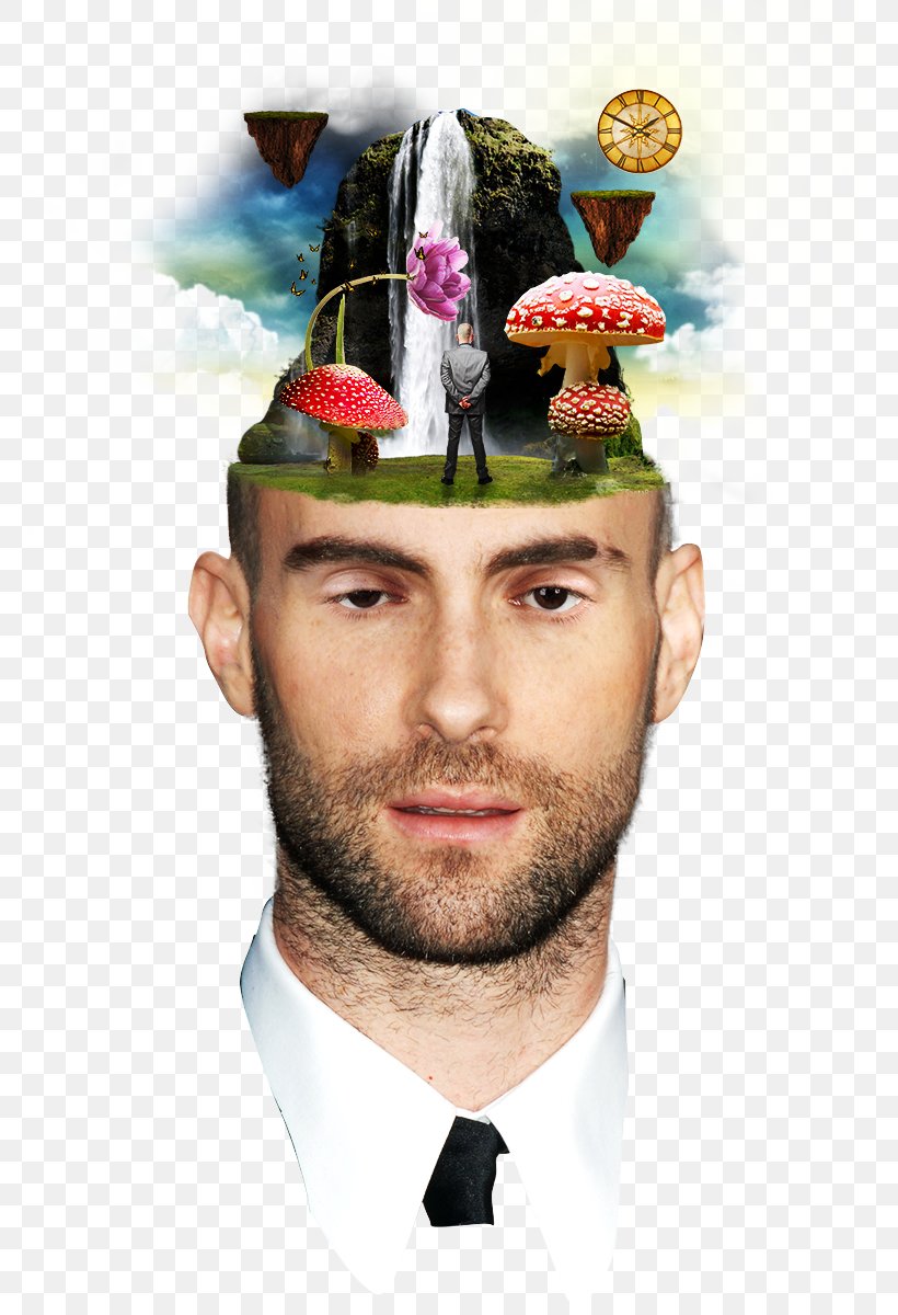 Adam Levine Beard Hat Head Shaving Moustache, PNG, 768x1200px, Adam Levine, Beard, Facial Hair, Gentleman, Hat Download Free