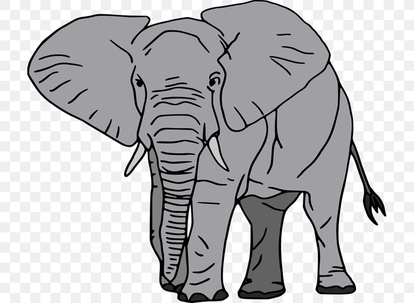 African Elephant Asian Elephant Drawing, PNG, 711x600px, African Elephant, Art, Asian Elephant, Black And White, Cattle Like Mammal Download Free