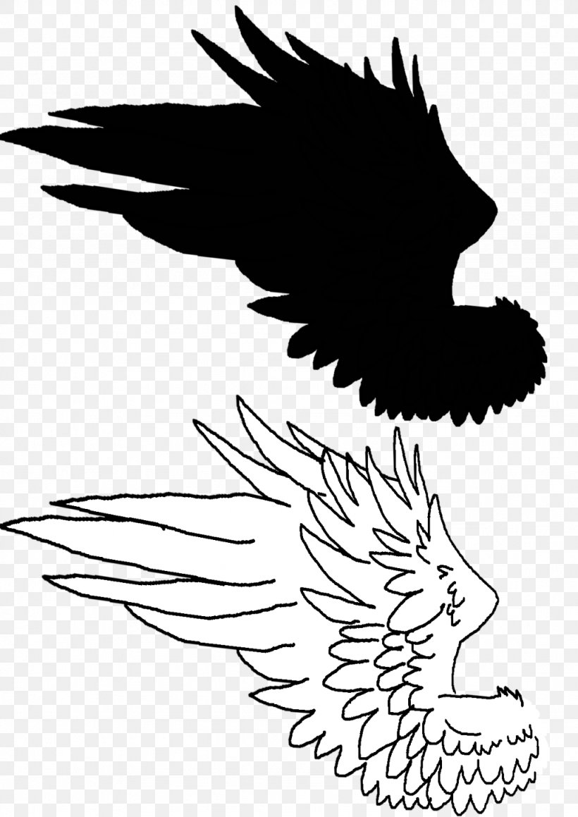 Clip Art Drawing Illustration Chicken Feather, PNG, 1024x1448px, Drawing, Art, Beak, Blackandwhite, Chicken Download Free