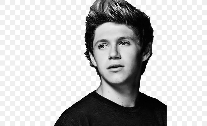 Niall Horan Mullingar One Direction Slow Hands, PNG, 500x500px, Niall Horan, Art, Artist, Black And White, Black Hair Download Free