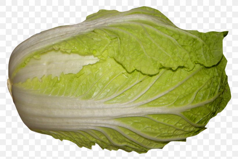 Red Cabbage Romaine Lettuce Napa Cabbage, PNG, 1375x920px, Cabbage, Chinese Cabbage, Food, Kimchi, Leaf Vegetable Download Free