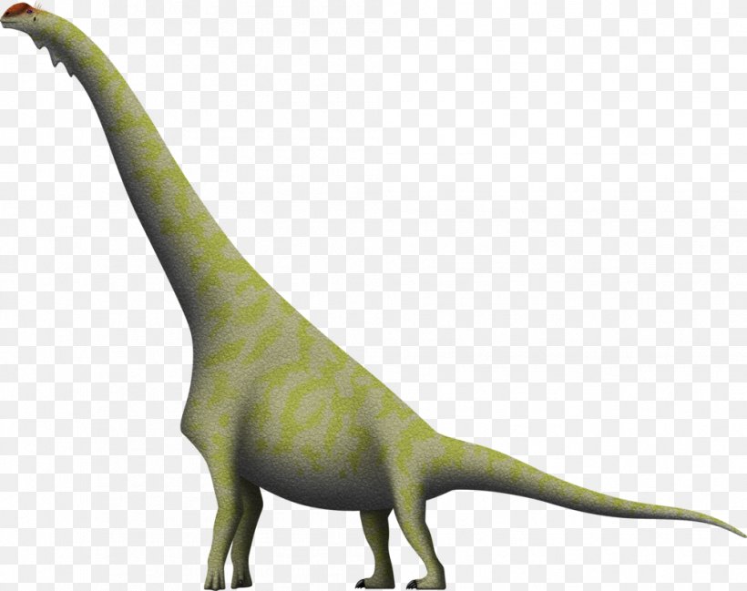 Brachiosaurus Diplodocus Giraffatitan Dinosaur Dry Mesa Quarry, PNG, 1004x795px, Brachiosaurus, Amphicoelias, Animal Figure, Art, Deviantart Download Free