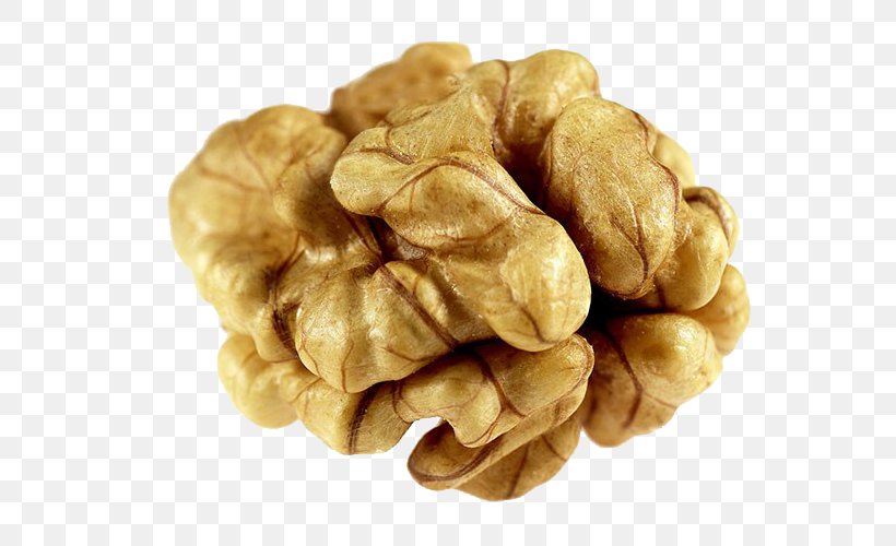 English Walnut Pterocarya Fraxinifolia Dried Fruit, PNG, 600x500px, Walnut, Alamy, Dried Fruit, English Walnut, Food Download Free