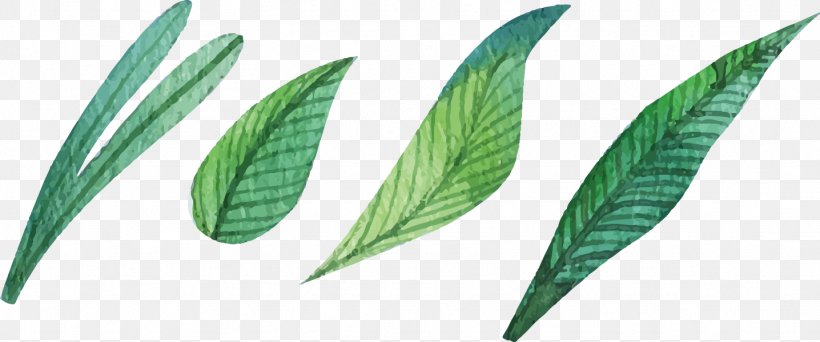 Leaf Watercolor Painting, PNG, 1436x599px, Leaf, Cartoon, Comics, Google Images, Grass Download Free