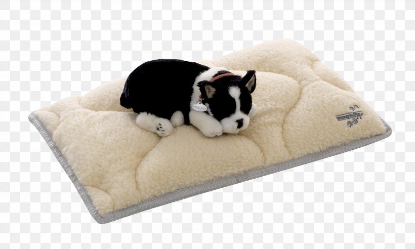 Dog Breed Puppy Bed, PNG, 3252x1955px, Dog Breed, Bed, Breed, Carnivoran, Dog Download Free