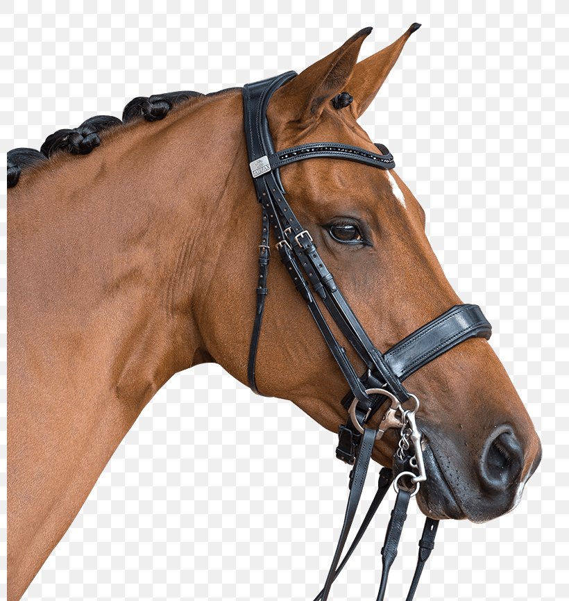 Horse Double Bridle Halter Noseband, PNG, 800x865px, Horse, Bridle, Double Bridle, Dressage, Equestrian Download Free