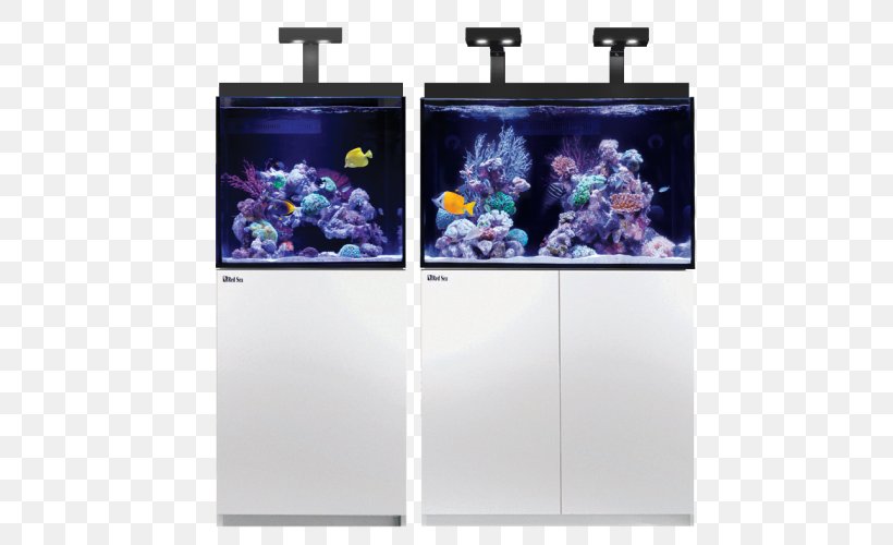 Reef Aquarium Red Sea Protein Skimmer Coral, PNG, 500x500px, Reef Aquarium, Advertising, Aquarium, Coral, Coral Reef Download Free