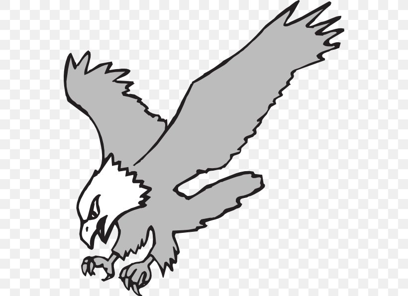 Bald Eagle Black And White Black-and-white Hawk-eagle Clip Art, PNG, 564x595px, Bald Eagle, Art, Beak, Bird, Bird Of Prey Download Free