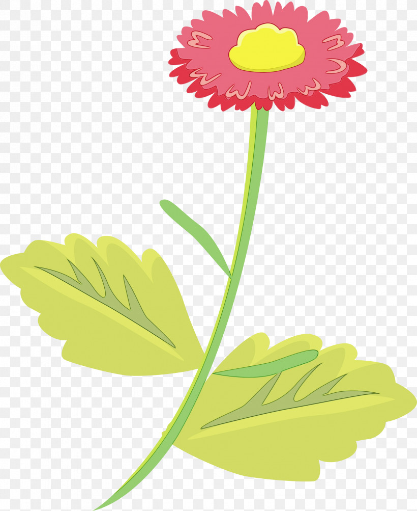 Daisy, PNG, 2451x3000px, Watercolor, Barberton Daisy, Daisy, Flower, Gerbera Download Free